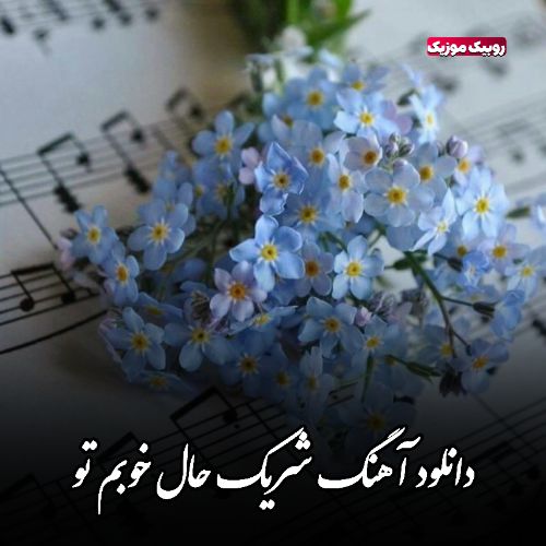 دانلود آهنگ ﺷﺮﻳﮏ ﺣﺎل ﺧﻮﺑﻢ ﺗﻮ دانلود آهنگ ﺷﺮﻳﮏ ﺣﺎل ﺧﻮﺑﻢ ﺗﻮ