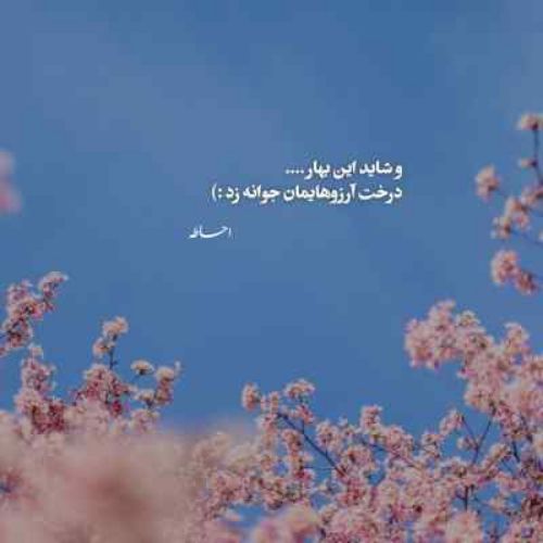 دانلود آهنگ منم عاشق ناز تو کشیدن دانلود آهنگ منم عاشق ناز تو کشیدن