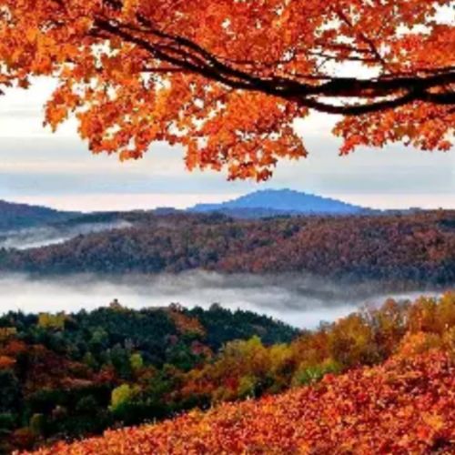 دانلود آهنگ پاییزش چه قشنگه درختاش رنگارنگه