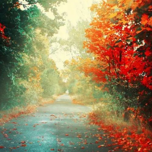 دانلود آهنگ لب بوم اومدی گهواره داری لیلی