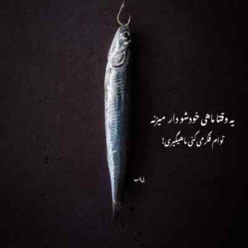 دانلود آهنگ شاید دل تو تنگ بود که خوابتو دیدم زود هایده هوش مصنوعی