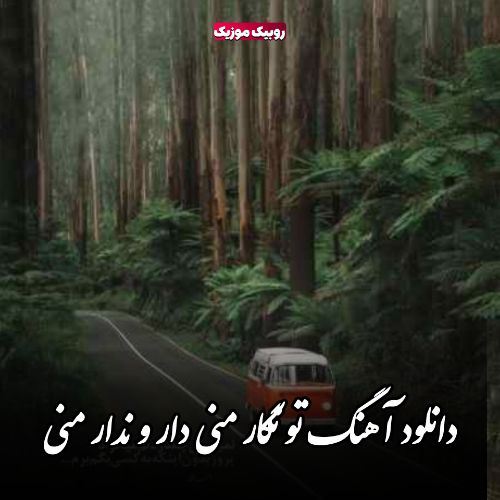 آهنگ تو نگار منی دار و ندار منی محسن چاوشی هایده معین شادمهر