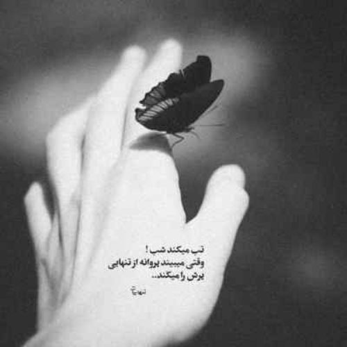 دانلود آهنگ بدون من کجا میخوای بری