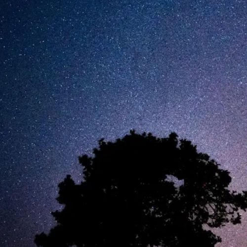 دانلود آهنگ ستاره ها آروم واسم فرو میریزن راوین فرد