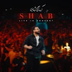 دانلود آهنگ آرمان گرشاسبی شب (اجرای زنده)