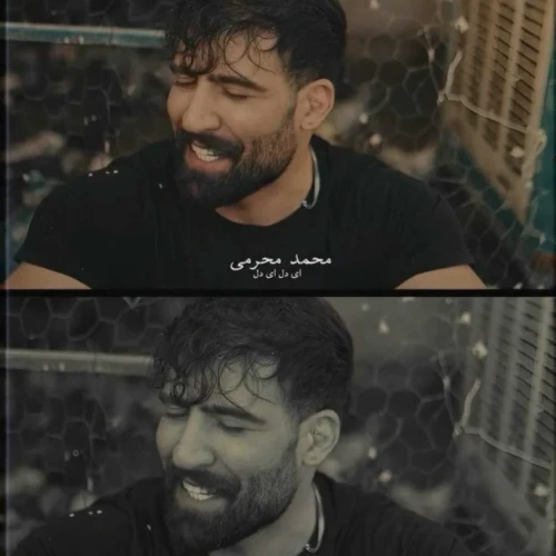 دانلود آهنگ محمد محرمی ای دل ای دل